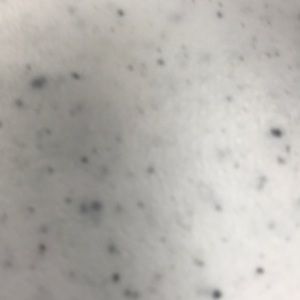 Meet your Posher, Alicia